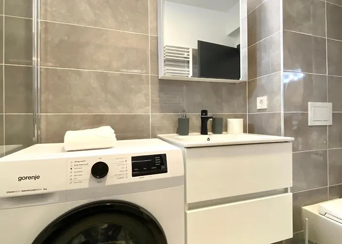 Comfort - Pet Friendly * Brasov